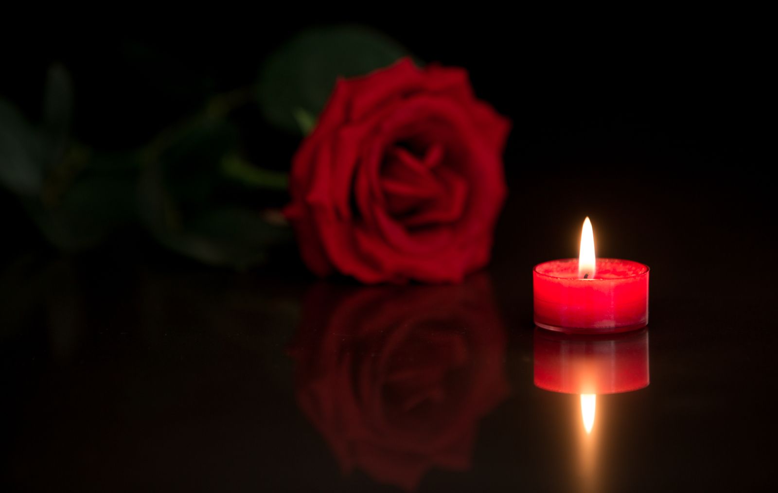 CAndle%20and%20Rose%20solemn.jpg