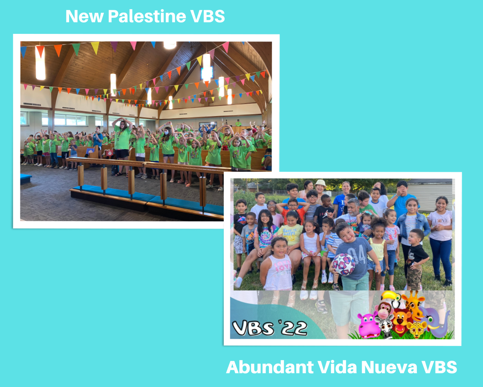 NEW%20PAL%20AVN%20vbs.png